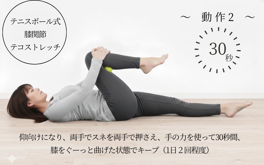 テニスボール式 膝関節 テコストレッチ動作② (1)