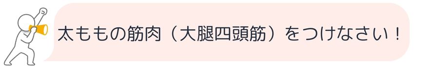 太ももの筋肉（大腿四頭筋）をつけなさい (1)